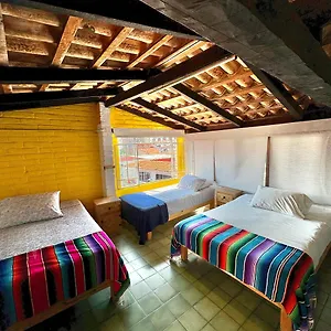 Casa Frida Gaylodging Hostel Puerto Vallarta