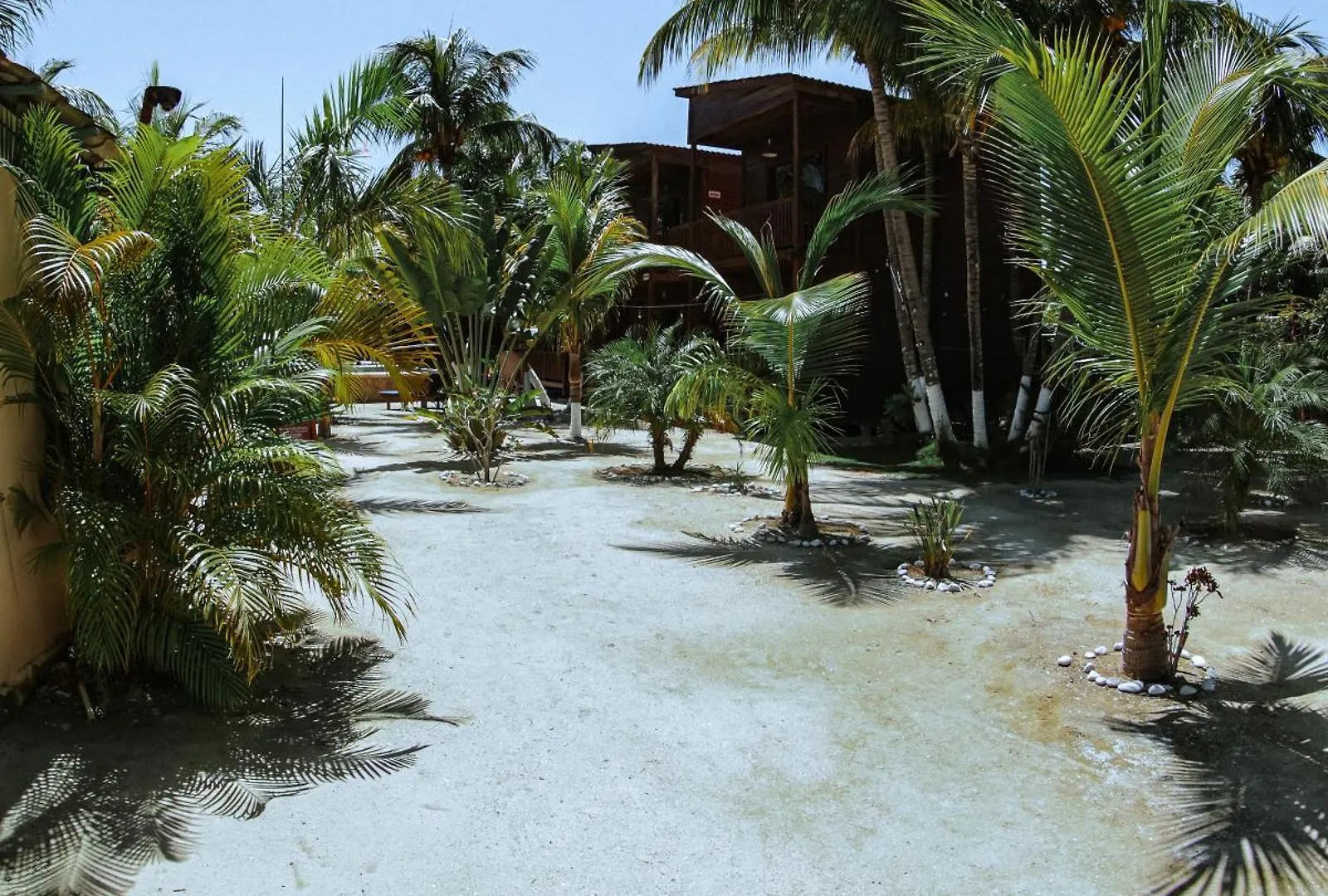 Coconut By Ool Hotels Isla Holbox