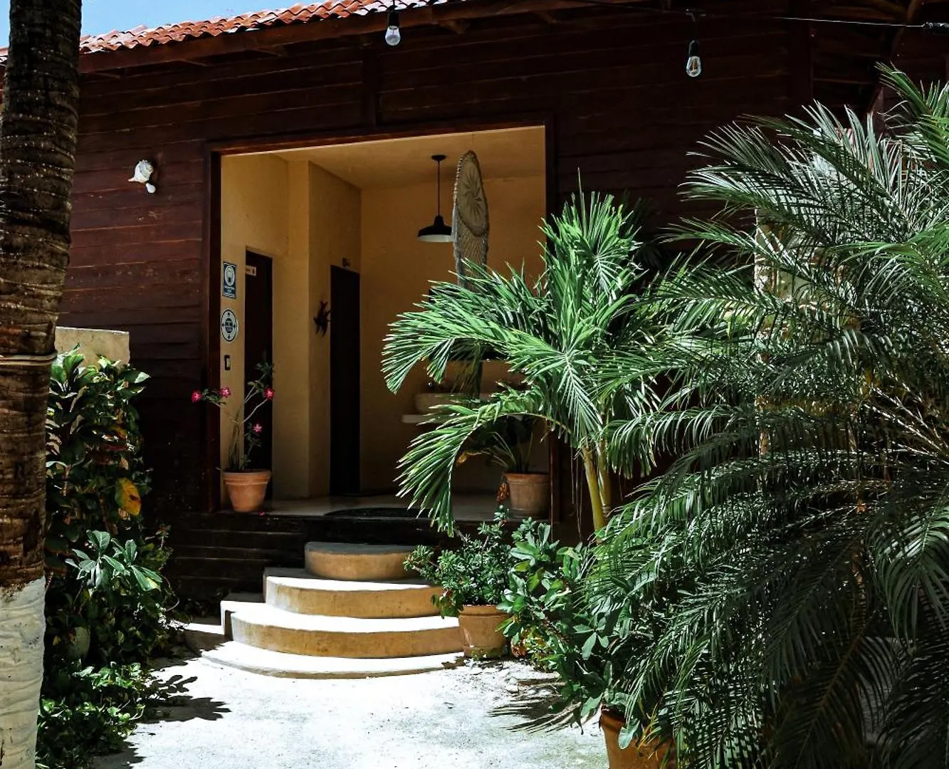 Coconut By Ool Hotels Isla Holbox