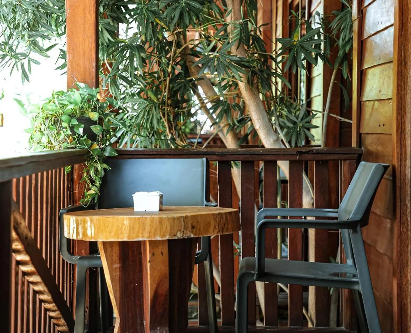 Coconut By Ool Hotels Isla Holbox