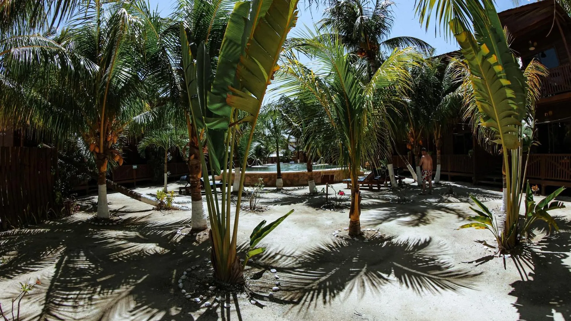 Cabanas Coconut By Mij Holbox Hotel